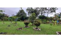 Casas, Venta, Junin - $599.000.000