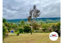 Fincas y Casas Campestres, Venta, Dagua - $280.000.000
