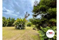 Fincas y Casas Campestres, Venta, Dagua - $280.000.000