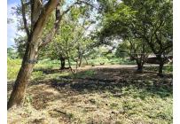 Lotes, Venta, Pance - $3.500.000.000