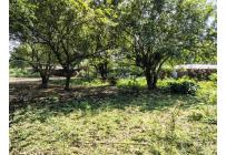 Lotes, Venta, Pance - $3.500.000.000