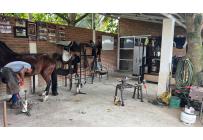 Fincas y Casas Campestres, Venta, Palmira - $2.700.000.000