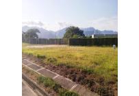 Lotes, Venta, Palmira - $360.000.000