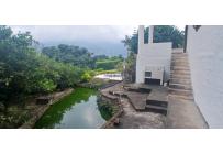 Fincas y Casas Campestres, Venta, Palmira - $1.300.000.000