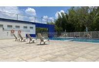 Apartamentos, Alquiler, Pereira - $1.300.000