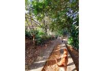 Casas, Venta, La Buitrera - $900.000.000