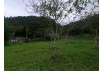 Lotes, Venta, Calima (Darién) - $460.000.000