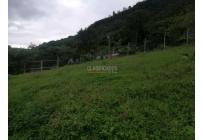 Lotes, Venta, Calima (Darién) - $460.000.000