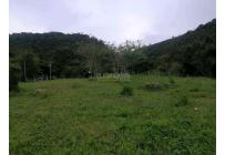 Lotes, Venta, Calima (Darién) - $460.000.000