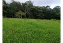 Lotes, Venta, Calima (Darién) - $460.000.000