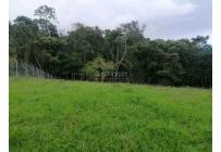 Lotes, Venta, Calima (Darién) - $460.000.000