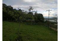 Lotes, Venta, Calima (Darién) - $460.000.000