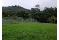 Lotes, Venta, Calima (Darién) - $460.000.000