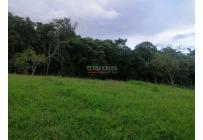 Lotes, Venta, Calima (Darién) - $460.000.000