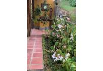 Fincas y Casas Campestres, Venta, Restrepo - $1.300.000.000