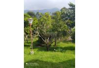 Fincas y Casas Campestres, Venta, La Elvira - $250.000.000