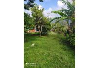 Fincas y Casas Campestres, Venta, La Elvira - $250.000.000
