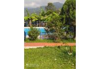 Fincas y Casas Campestres, Venta, La Elvira - $250.000.000