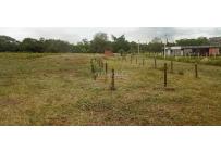 Lotes, Venta, Palmira - $1.000.000.000