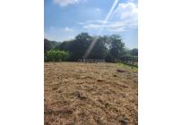 Lotes, Venta, Pance - $1.250.000.000