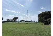 Casas, Venta, Palmira - $2.990.000.000