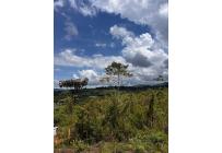 Lotes, Venta, Dagua - $180.000.000