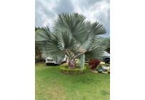 Casas, Venta, Jamundí - $1.299.000.000