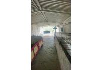 Casas, Venta, Nueva Base - $445.000.000