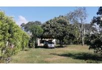 Fincas y Casas Campestres, Venta, Palmira - $560.000.000