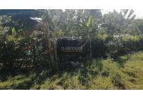 Fincas y Casas Campestres, Venta, Palmira - $560.000.000