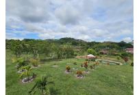 Fincas y Casas Campestres, Venta, Zarzal - $550.000.000