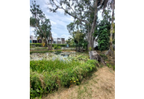 Lotes, Venta, Jamundí - $215.000.000