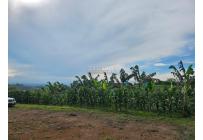 Lotes, Venta, Pereira - $225.000.000