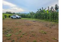 Lotes, Venta, Pereira - $225.000.000