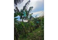 Lotes, Venta, Pereira - $225.000.000