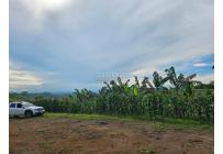 Lotes, Venta, Pereira - $225.000.000