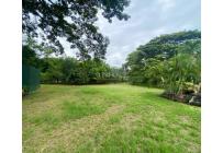 Lotes, Venta, Palmira - $270.000.000