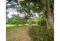 Lotes, Venta, Palmira - $270.000.000