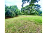 Lotes, Venta, Palmira - $270.000.000