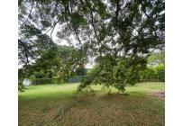 Lotes, Venta, Palmira - $270.000.000