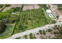 Lotes, Venta, Palmira - $1.200.000.000