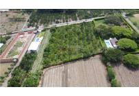 Lotes, Venta, Palmira - $1.200.000.000