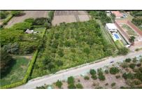 Lotes, Venta, Palmira - $1.200.000.000