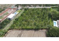 Lotes, Venta, Palmira - $1.200.000.000