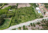 Lotes, Venta, Palmira - $1.200.000.000