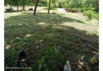 Lotes, Venta, Ricaurte - $500.000.000