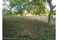 Lotes, Venta, Ricaurte - $500.000.000