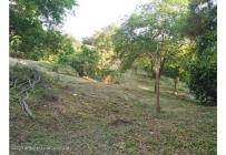 Lotes, Venta, Ricaurte - $500.000.000