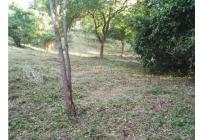 Lotes, Venta, Ricaurte - $500.000.000