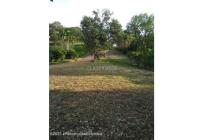 Lotes, Venta, Ricaurte - $500.000.000